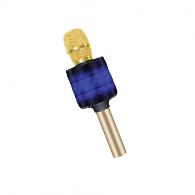 SM04 Gold Head Bluetooth Speaker